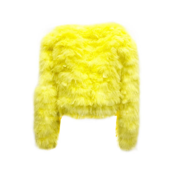 Dsquared2 – Bomberjacke mit Federn - Image 3
