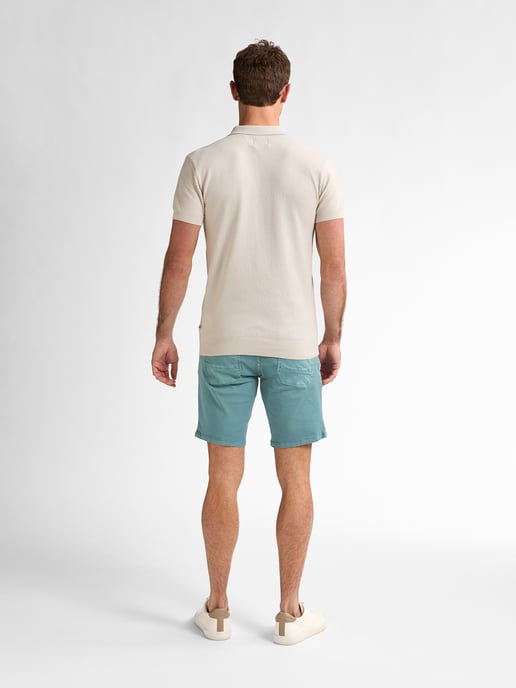 Petrol Industries - Farbige Denim-Shorts Stingraypark Herren - Blau - Image 6