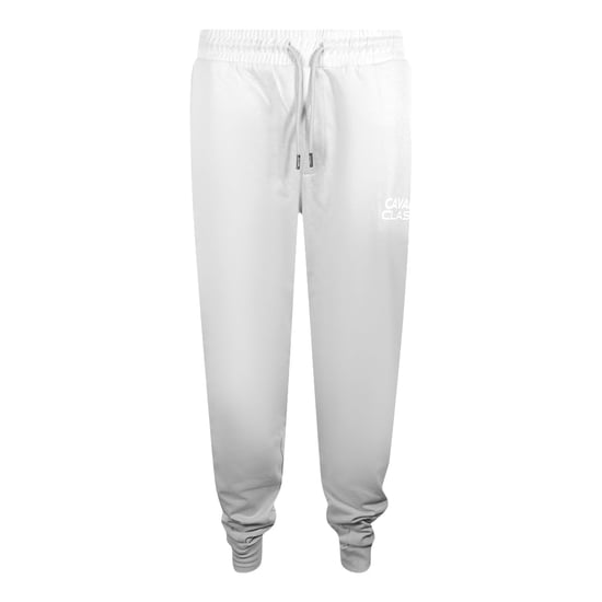 Cavalli Class - Hellgraue Jogginghose Mit Auffälligem Logo - Image 1