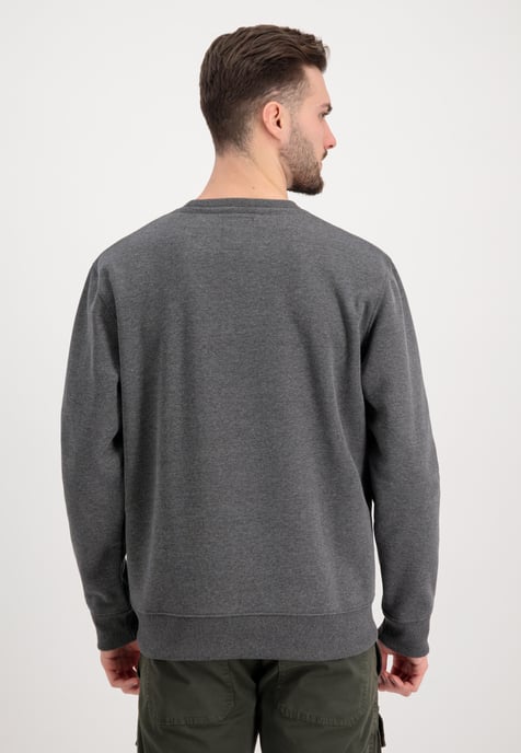 Basic Big Logo Sweatshirt - Image 3