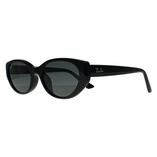 Ray-Ban RB4457D Bio Based 667787 poliert schwarz dunkelgrau Sonnenbrille - Image 2