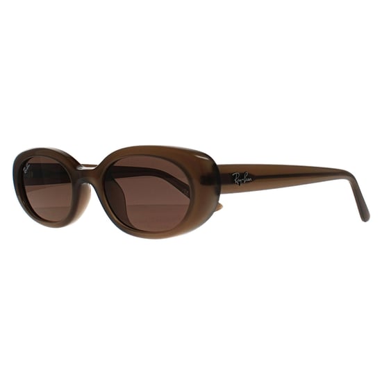 Ray-Ban RB4441D Bio Based 667711 poliert schwarz grau Gradient Sonnenbrille - Image 2