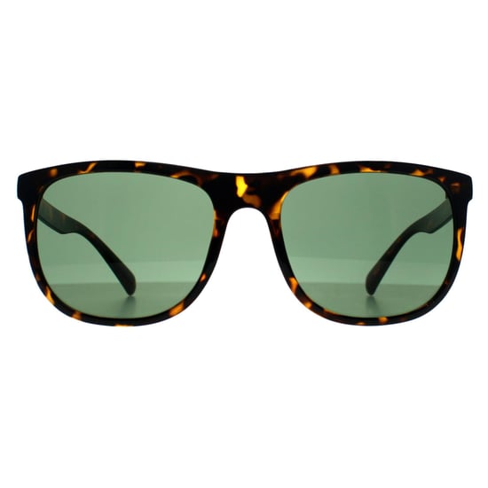 Calvin Klein CK22557S 240 glänzende havannagrüne Sonnenbrille - Image 1