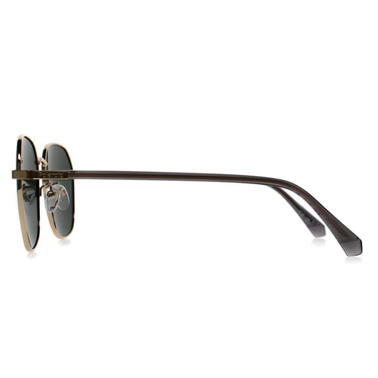 Polaroid PLD 4168/G/S/X PEF UC gold grün grün polarisierte Sonnenbrille - Image 3