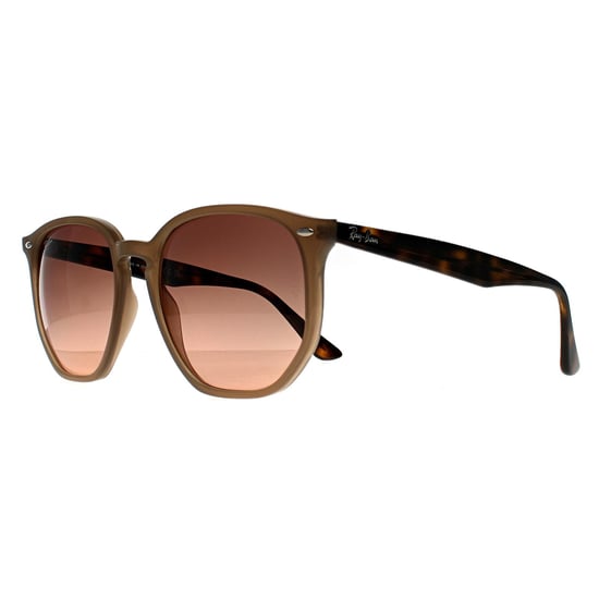 Ray-Ban RB4306 678846 poliert Turteltaube rosa Farbverlauf grau Sonnenbrille - Image 2