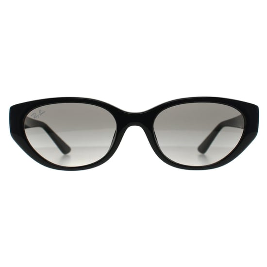 Ray-Ban RB4457D Bio Based 667711 poliert schwarz grau Farbverlauf Sonnenbrille - Image 1