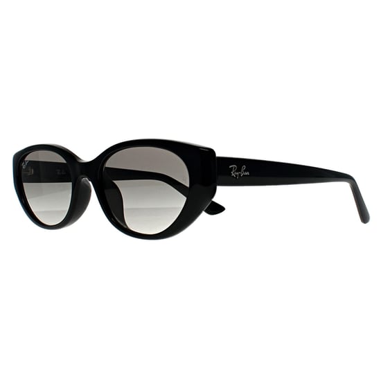 Ray-Ban RB4457D Bio Based 667711 poliert schwarz grau Farbverlauf Sonnenbrille - Image 2