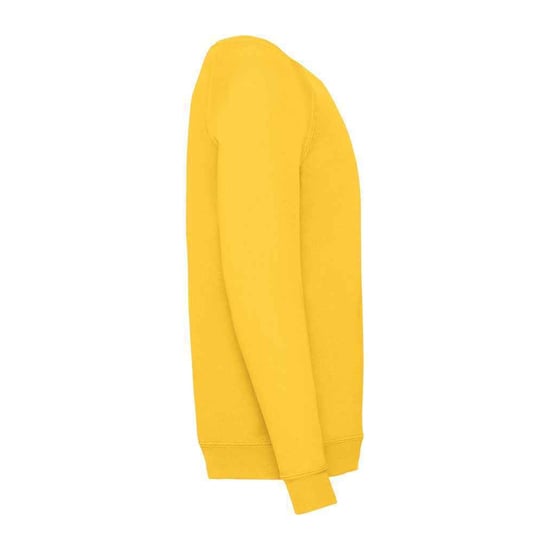 Fruit of the Loom - Sweatshirt für Kinder Raglanärmel (Sonnenblume) - Image 2