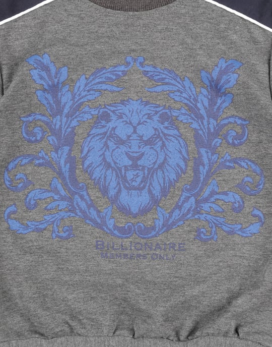 Sweatshirt Lion - Image 4