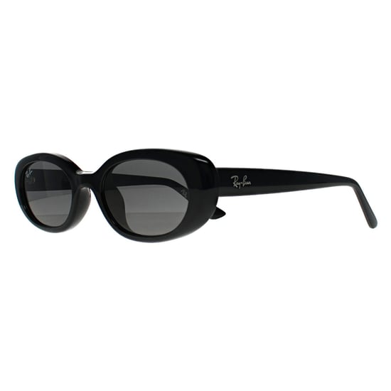 Ray-Ban RB4441D Bio Based 667787 poliert schwarz dunkelgrau Sonnenbrille - Image 2