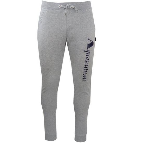 Aquascutum - Jogginghosen für Herren (Grau) - Image 1