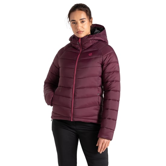Dare 2B - "Torrek" Steppjacke für Damen (Feige) - Image 4