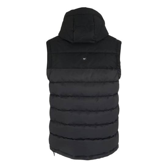 Regatta Herren Aldthorn Weste (Grau/Schwarz) - Image 2