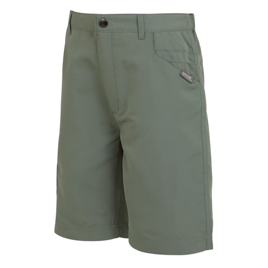 Regatta - "Sorcer II" Shorts für Kinder (Agaven-Grün) - Image 3