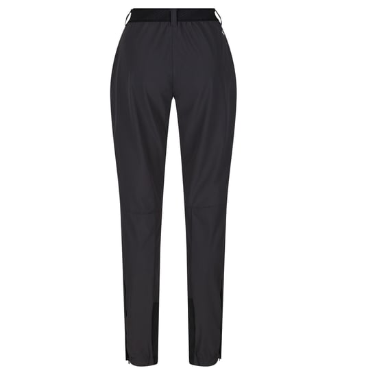Regatta Damen/Damen Mountain III Wanderhose (Esche/Schwarz) - Image 2
