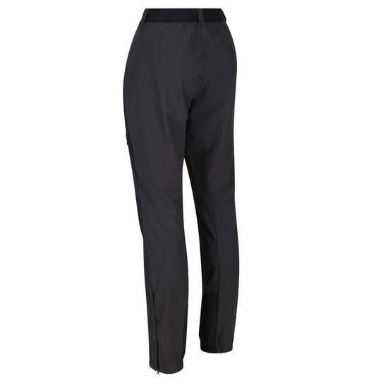 Regatta Damen/Damen Mountain III Wanderhose (Esche/Schwarz) - Image 3