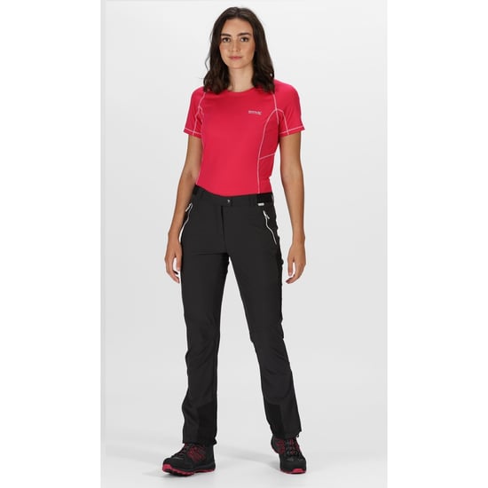 Regatta Damen/Damen Mountain III Wanderhose (Esche/Schwarz) - Image 4