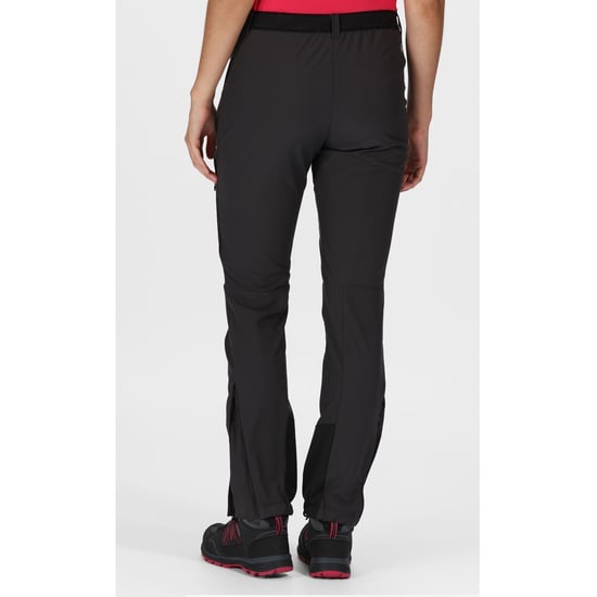 Regatta Damen/Damen Mountain III Wanderhose (Esche/Schwarz) - Image 5