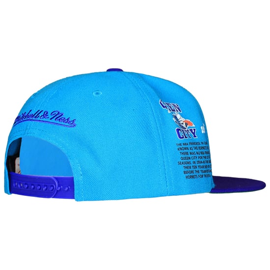 Mitchell & Ness NBA Charlotte Hornets Team Origins Cap - Image 2