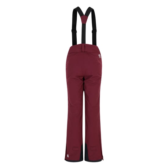 Dare 2B - Damen Skihosen "Diminish", Isoliert (Feige) - Image 2