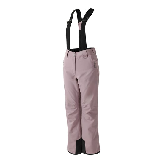 Dare 2B - Damen Skihosen "Diminish", Isoliert (meliert) - Image 3