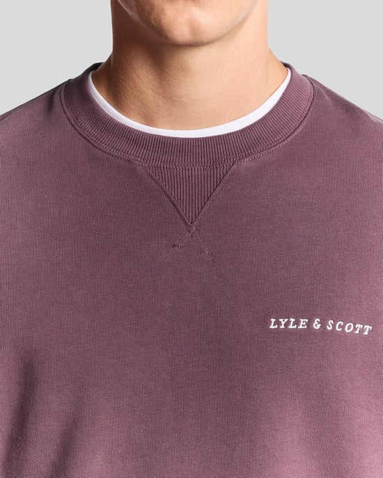 Lyle & Scott – Fleece-Sweatshirt mit Brushback-Schriftzug – Rot - Image 3