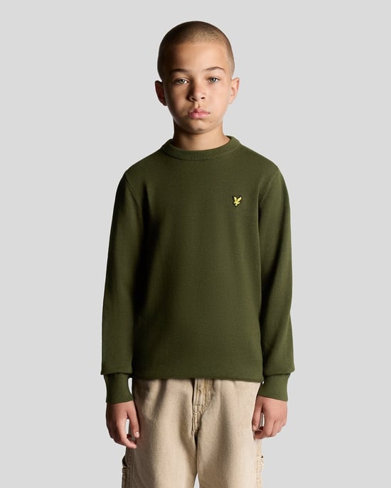 Lyle & Scott Jungen-Baumwollpullover mit Rundhalsausschnitt - Grün - Image 1