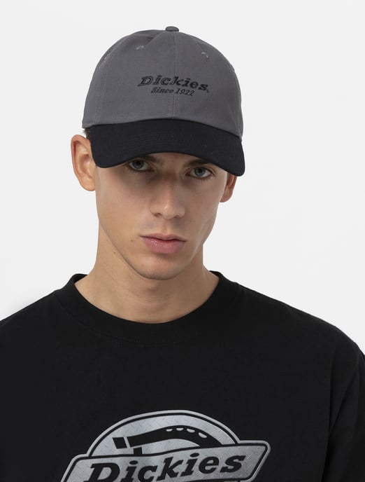Dickies Mützen TWILL DAD HAT - Image 4