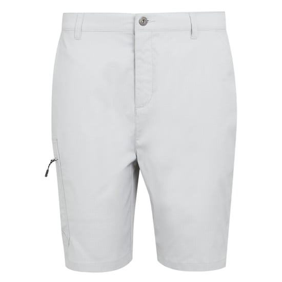 Regatta - "Dalry" Shorts für Herren (Silbergrau) - Image 1