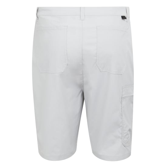 Regatta - "Dalry" Shorts für Herren (Silbergrau) - Image 2