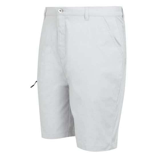 Regatta - "Dalry" Shorts für Herren (Silbergrau) - Image 3
