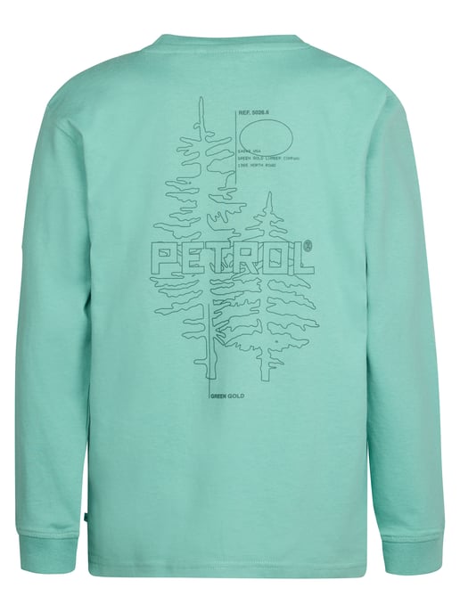 Petrol Industries - Rückenprint T-Shirt Shenandoah  Jungen -  Blau - Image 2
