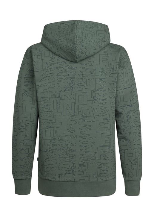 Petrol Industries - All-over Print Hoodie Blue Ridge Jungen - Grün - Image 2