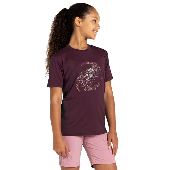 Dare 2B - "Amuse II" T-Shirt für Kinder (Tiefpflaume) - Image 4