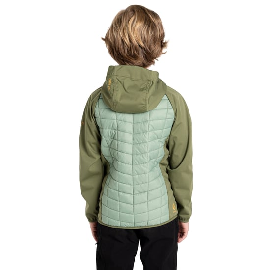 Dare 2B - "Explore II" Hybridjacke für Kinder (Olivingrün/Heckengrün/Gelbbraun) - Image 4