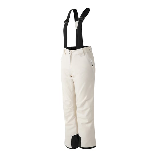 Dare 2B - Damen Skihosen "Diminish", Isoliert (Reiher) - Image 3