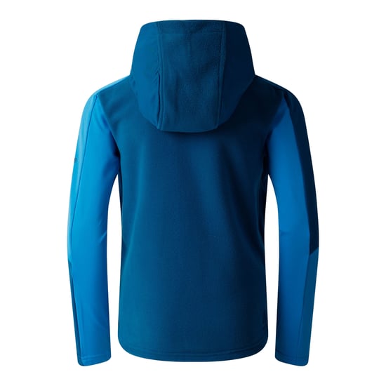 Dare 2B - "Thriving IV" Fleecejacke für Kinder (Saphir/Frühjahrsurlaub) - Image 2