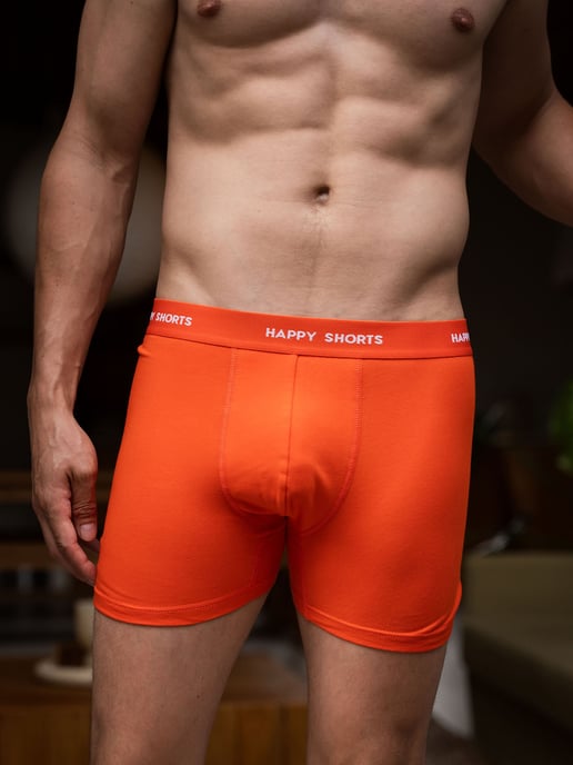 Happy Shorts Herren Retro Boxer Neon 2-Pack Retroshorts, Vintage Boxer, - Image 2