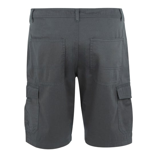 Regatta - "Ruwan" Freizeitshorts für Herren (Mittelgrau) - Image 2