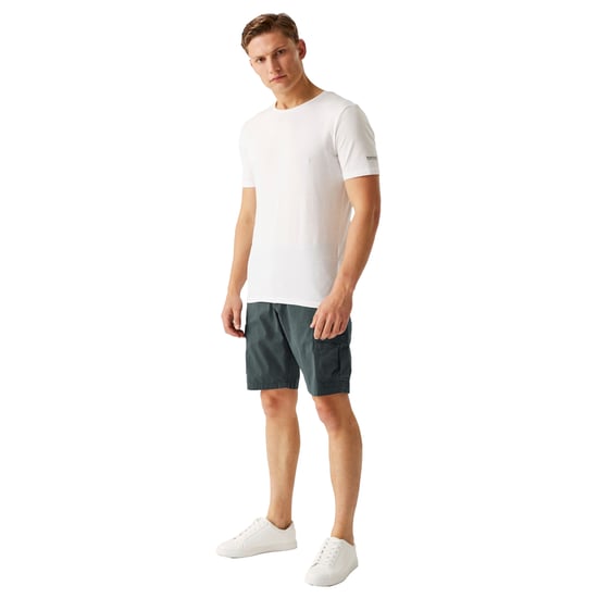 Regatta - "Ruwan" Freizeitshorts für Herren (Mittelgrau) - Image 3