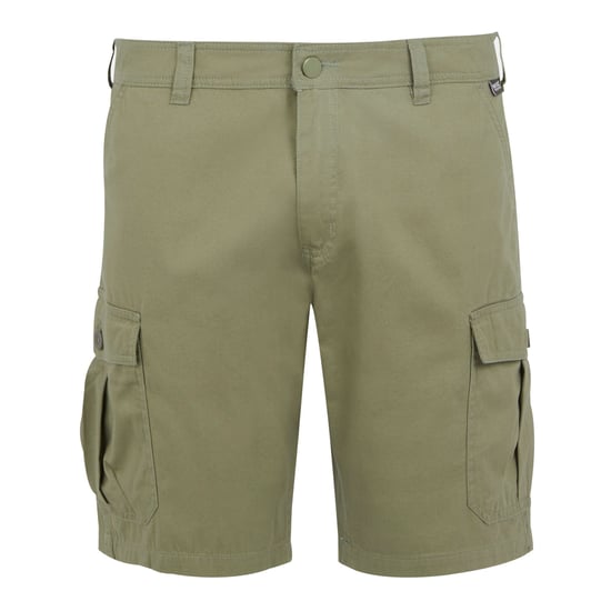 Regatta - "Ruwan" Freizeitshorts für Herren (Tierweltgrau) - Image 1