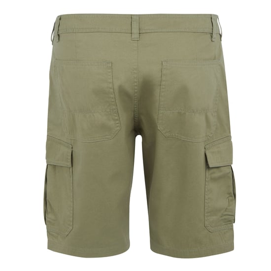 Regatta - "Ruwan" Freizeitshorts für Herren (Tierweltgrau) - Image 2