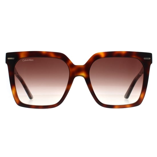Lunettes de soleil Calvin Klein CK22534S 220 marron havane marron dégradé - Image 1