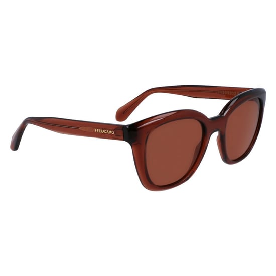 Braune Einspritzungssonnenbrille - Image 2
