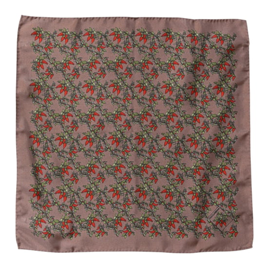 Braunes Chilis-Seidentuch Herren Foulard Schal - Image 2