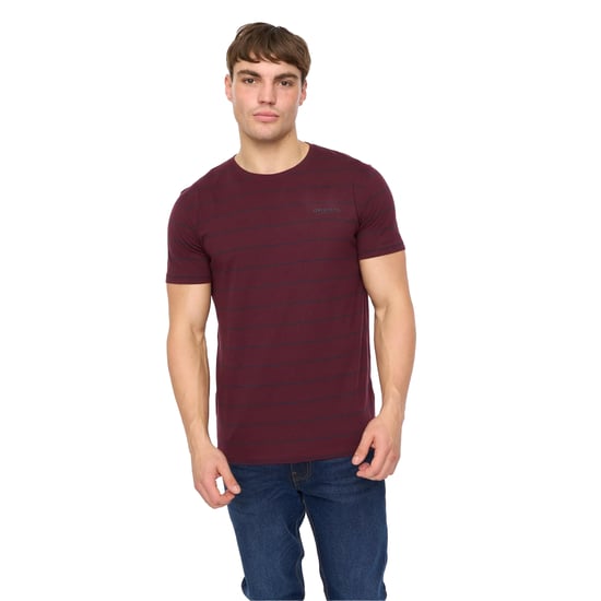 Crosshatch - "Hemtowns" T-Shirt für Herren (Rum Rosinen) - Image 3
