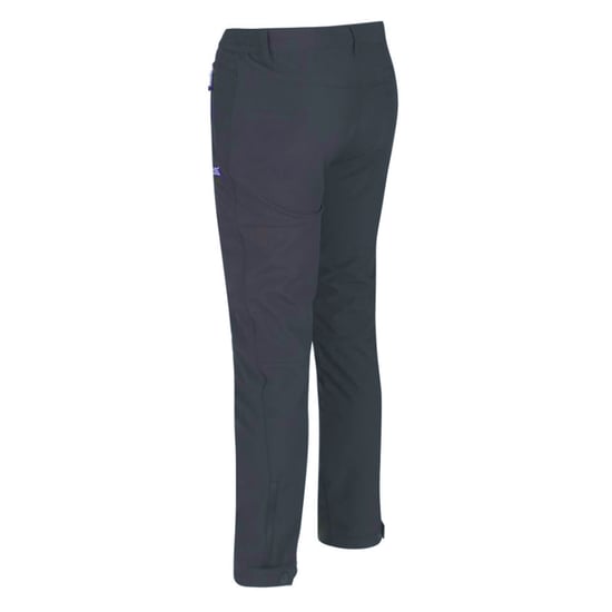 Regatta Great Outdoors Mens Adventure Tech Geo II Wind resistent lange Bein Softshell-Hose (Ash) - Image 2