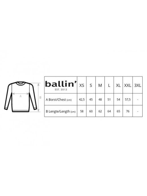 Tiger Sweater von Ballin Est. 2013 in der farbe Weiss und in größe S. - Image 3