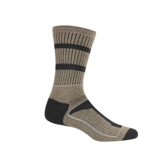 Regatta - Chaussettes SAMARIS - Homme (Marron clair / Gris) - Image 3