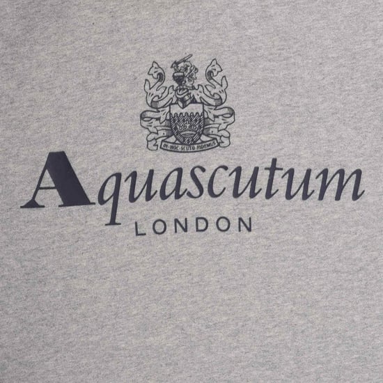 Aquascutum - "Active" Kapuzenpullover für Herren (Hellgrau) - Image 4